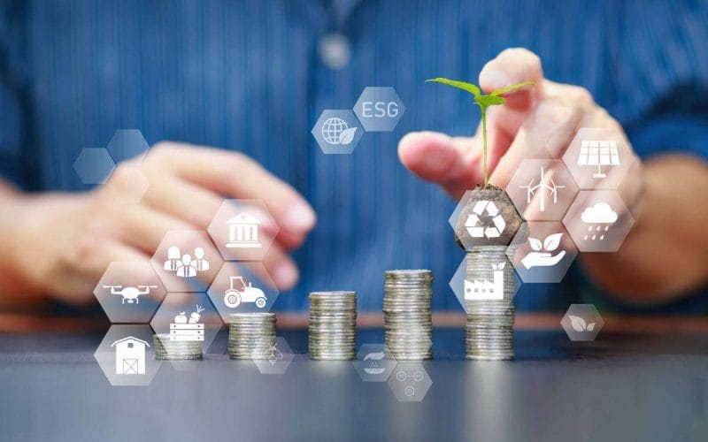 Mani posano una piantina su una pila di monete con icone ESG, a simboleggiare l’integrazione della sostenibilità nei criteri di accesso al credito aziendale.