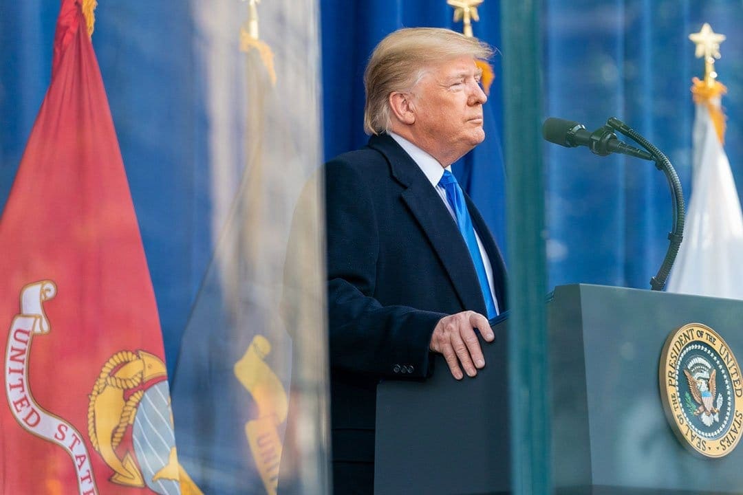 Donald Trump. Immagine di rawpixel.com