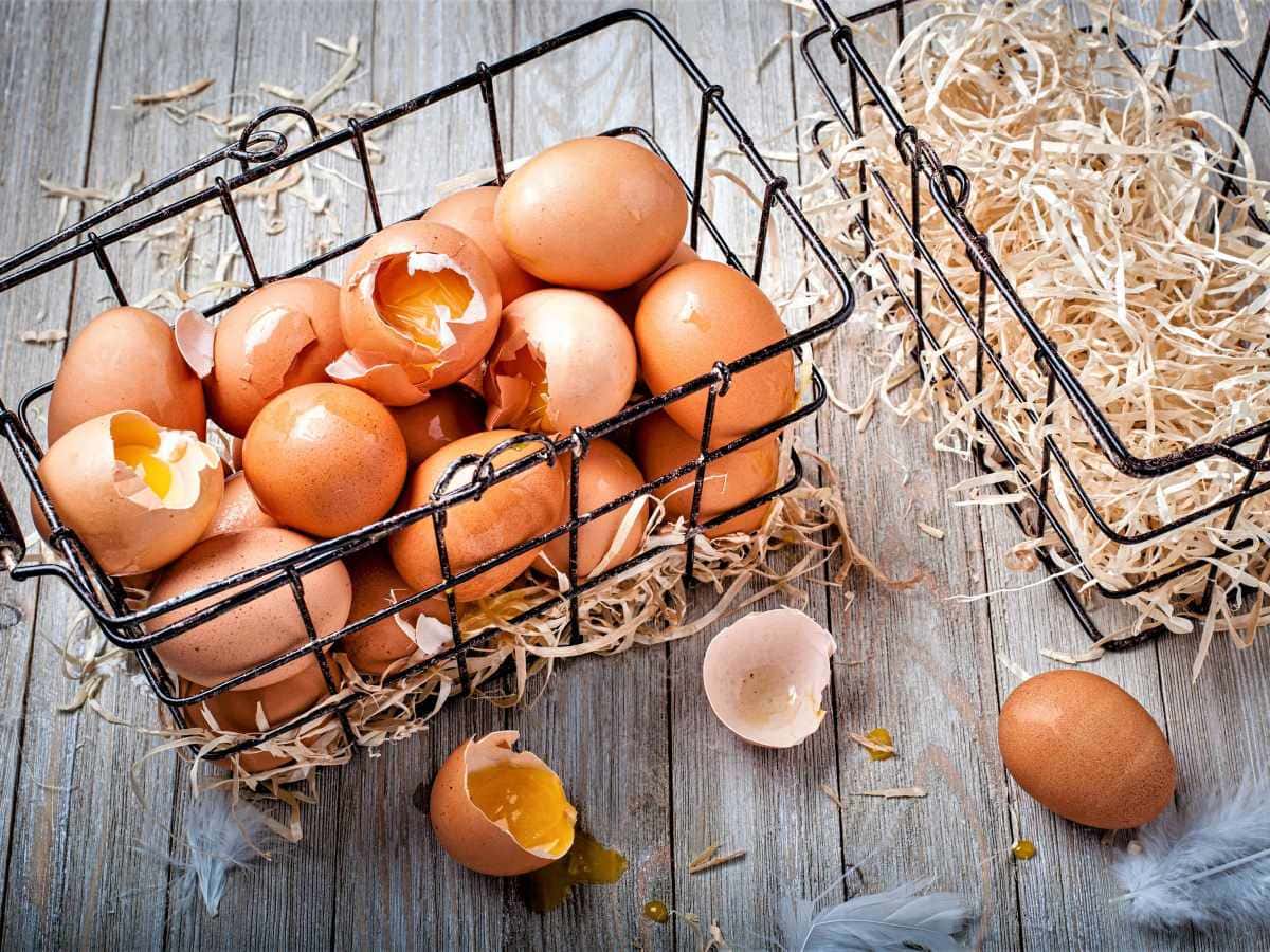 Che cos’è l’investimento. Che cos’è l’investimento. Investimento e risparmio non sono la stessa cosa. Comprendere il rapporto tra tempo, rischio, rendimento, diversificazione e asset allocation è il primo passo per costruire una strategia finanziaria coerente con i propri obiettivi di vita.